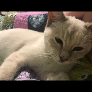 Meet your Posher, Kate